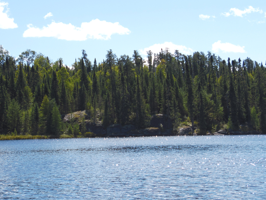 Contest Lake BWCA